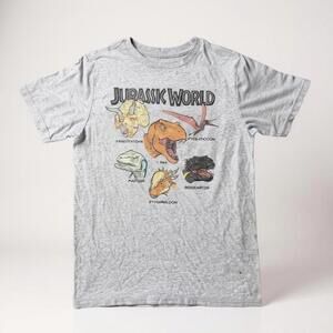 Jurassic Park Boys Gray Graphic T-Shirt Size XL Extra Large Dinosaur Design Tee